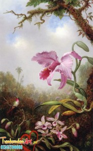 display_image (2)